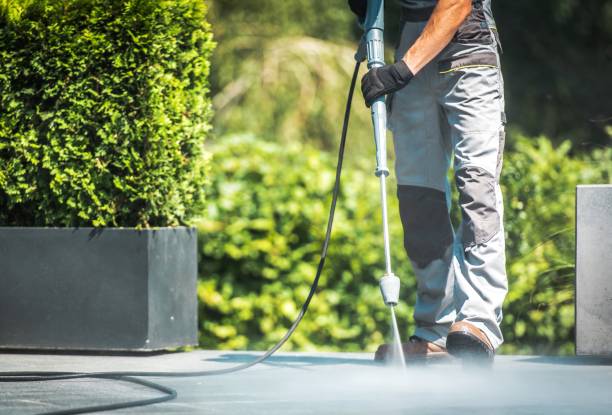 Animal Enclosure Cleaning in Rio Pinar, FL