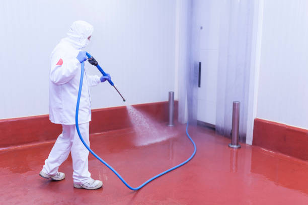 Trusted Rio Pinar, FL Pressure Washing Services Experts
