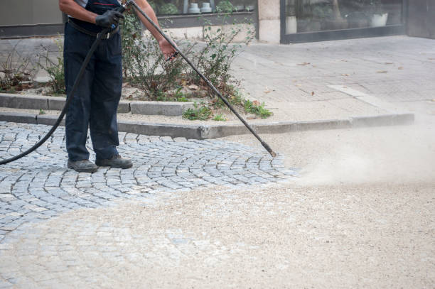 Best Sidewalk and Walkway Cleaning  in Rio Pinar, FL